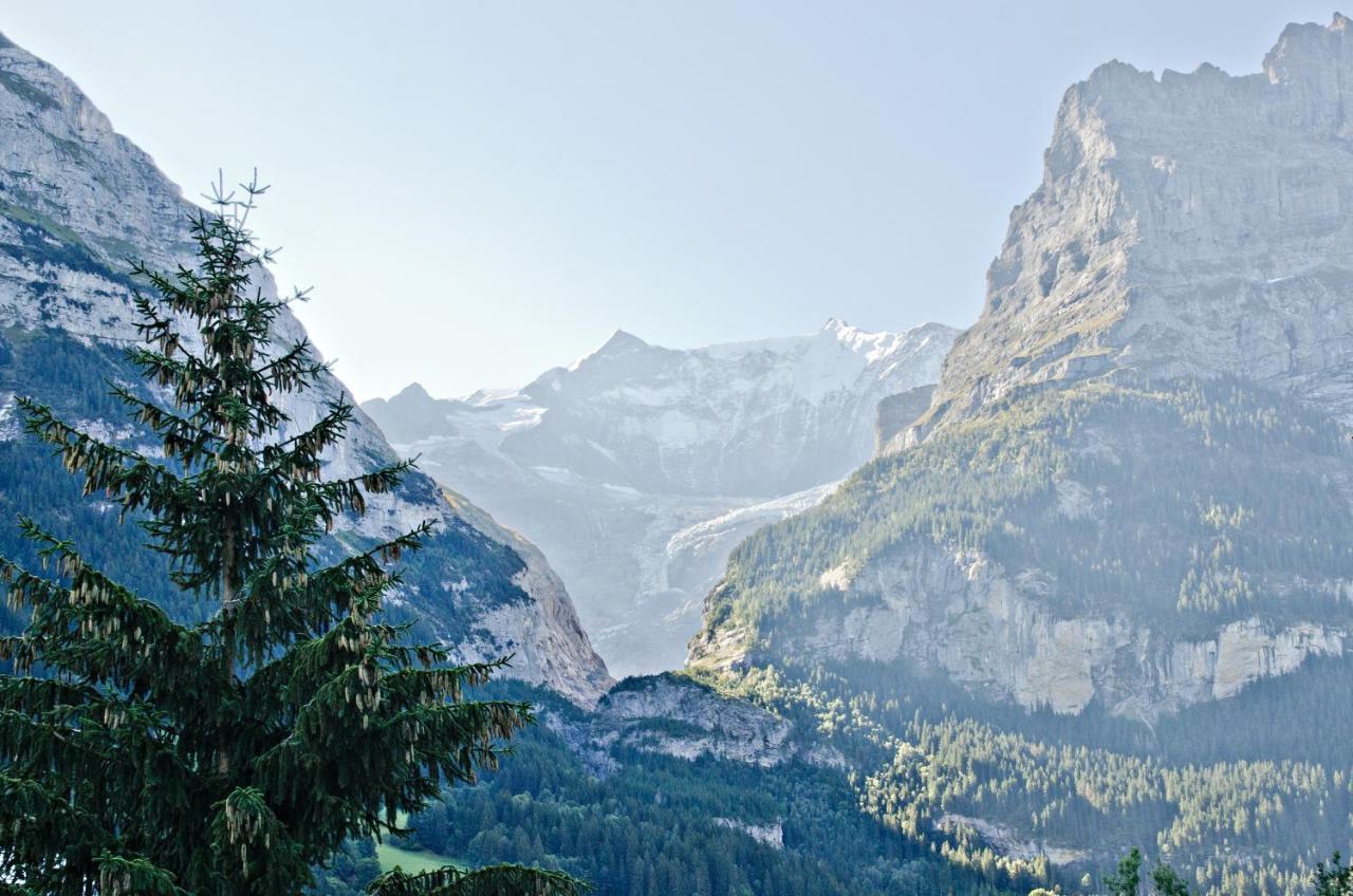 Apartment Felix - Griwa Rent Ag Grindelwald Kültér fotó